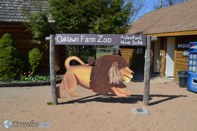 OakLawn Farm Zoo in Annapolis Valley: Largest Zoo in Nova Scotia
